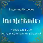 Постер книги Новые эльфы. Избранный путь