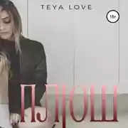 Постер книги Плюш