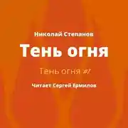 Постер книги Тень огня
