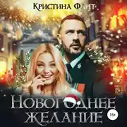 Постер книги Новогоднее желание
