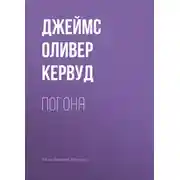 Постер книги Погоня