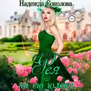 Постер книги Фея на его голову