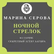 Постер книги Ночной стрелок