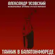 Постер книги Тайник в Балатонфюреде