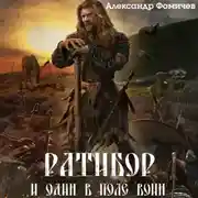 Постер книги Ратибор. И один в поле воин