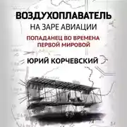 Постер книги Воздухоплаватель. На заре авиации