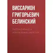 Постер книги Литературные и журнальные заметки