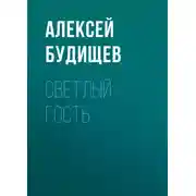 Постер книги Светлый гость