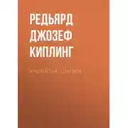 Постер книги Крылатые шапки