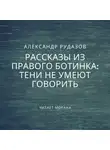 Александр Рудазов - Тени не умеют говорить