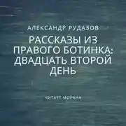 Постер книги Двадцать второй день