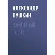 Постер книги Каменный гость