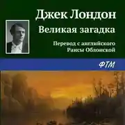 Постер книги Великая загадка