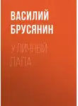 Василий Брусянин - Уличный папа