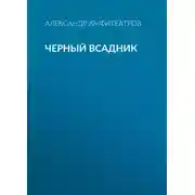Постер книги Черный всадник