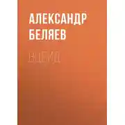 Постер книги ВЦБИД