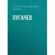 Постер книги Пугачев