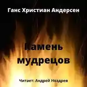 Постер книги Камень мудрецов