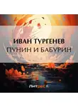 Иван Тургенев - Пунин и Бабурин
