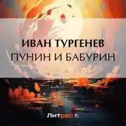 Постер книги Пунин и Бабурин