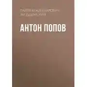 Постер книги Антон Попов