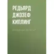 Постер книги Бродячий делегат