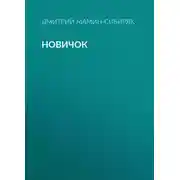 Постер книги Новичок