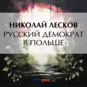Постер книги Русский демократ в Польше