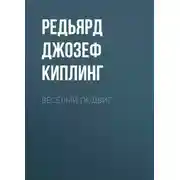 Постер книги Весёлый подвиг