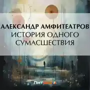 Постер книги История одного сумасшествия