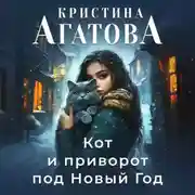 Постер книги Кот и приворот под Новый год