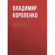 Постер книги Ночью