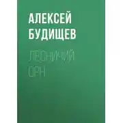 Постер книги Лесничий Орн