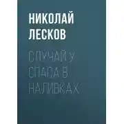 Постер книги Случай у Спаса в Наливках