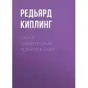 Постер книги Самая удивительная повесть в мире