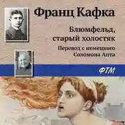 Постер книги Блюмфельд, старый холостяк