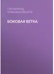 Сигизмунд Кржижановский - Боковая ветка