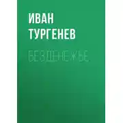 Постер книги Безденежье