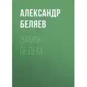 Постер книги Замок ведьм