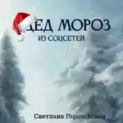 Постер книги Дед Мороз из соцсетей