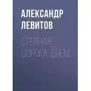 Постер книги Степная дорога днем