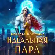 Постер книги Идеальная пара