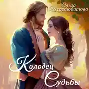 Постер книги Колодец судьбы