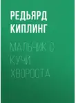 Редьярд Джозеф Киплинг - Мальчик с кучи хвороста