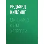 Постер книги Мальчик с кучи хвороста