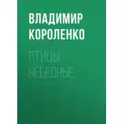Постер книги Птицы небесные