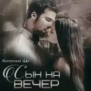 Постер книги Сын на вечер