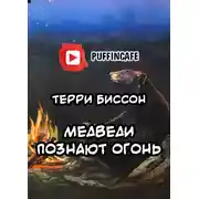 Постер книги Медведи познают огонь