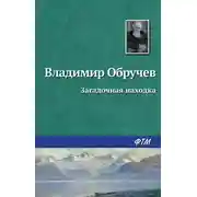 Постер книги Загадочная находка