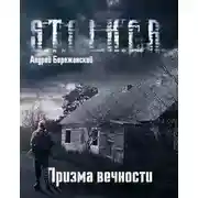 Постер книги Призма вечности